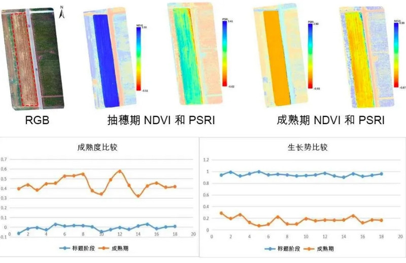 Specim AFX10無人機載高光譜成像系統(tǒng)記錄小麥在不同時期的歸一化植被指數(shù)和植物衰老反射指數(shù)