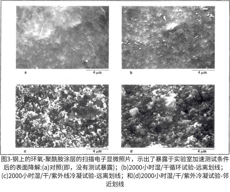 未暴露的對照樣品的表面