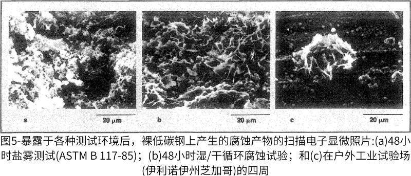 圖5-暴露于各種測試環(huán)境后，裸低碳鋼上產(chǎn)生的腐蝕產(chǎn)物的掃描電子顯微照片