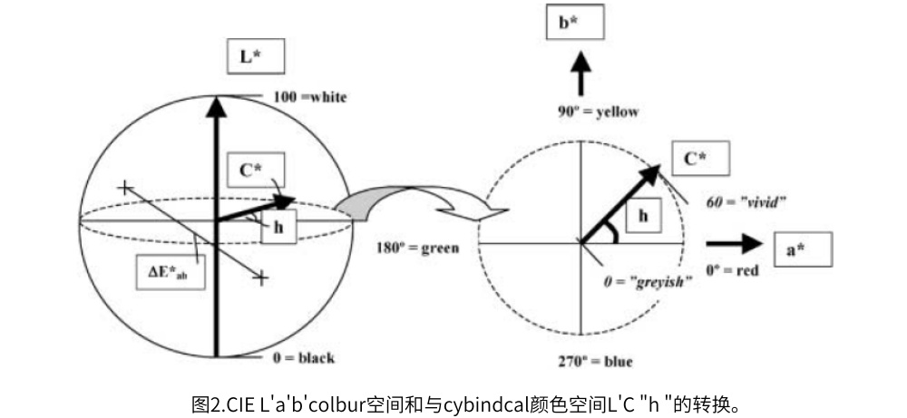 圖2.CIE L'a'b'colbur空間和與cybindcal顏色空間L'C "h "的轉(zhuǎn)換