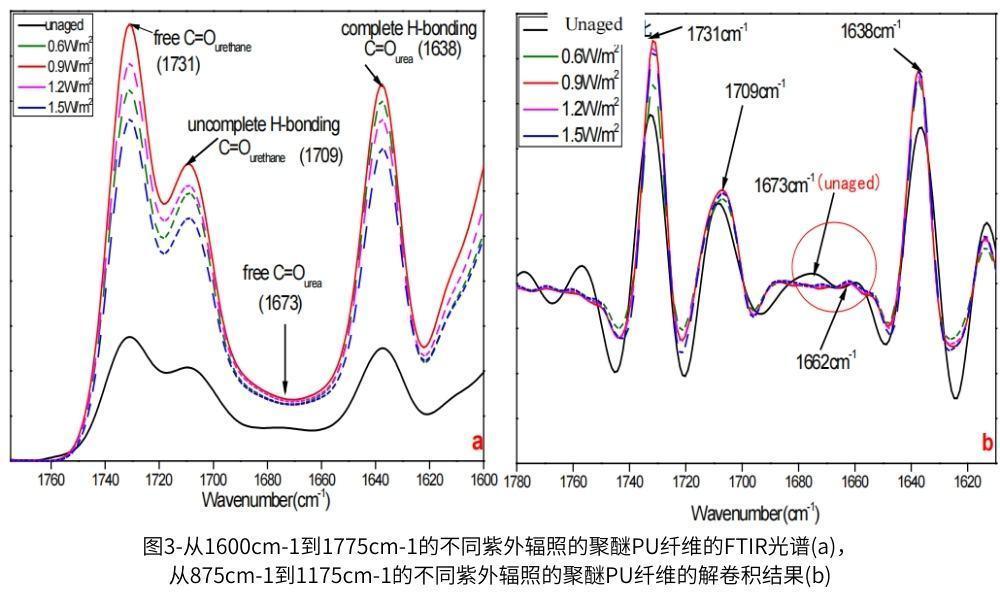 圖3說明了在1600cm-1至1775cm-1的各種照射下聚醚PU纖維的C=O譜帶之間的比較(圖3a)及其解卷積結果(圖3b)