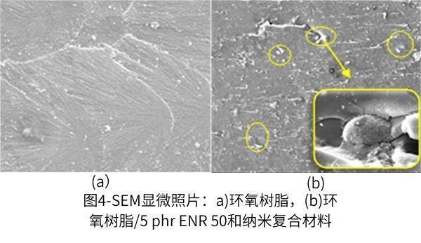 圖4-SEM顯微鏡照片